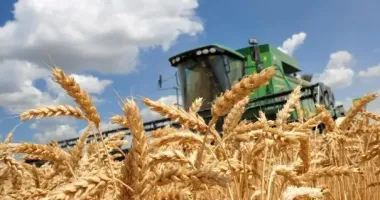 На Харківщині проведуть діалог влади та бізнесу: обговорять виклики і рішення для агросектору