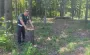 Ліси, повітря та мільйонні збитки: Держекоінспекція звітує про тиждень боротьби з порушниками