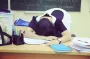 Школы опустеют: родителей предостерегли от травли педагогов