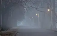 Дощі та туман: якою буде погода найближчими днями