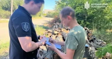 На Кіровоградщині судитимуть посадовця лісництва, який дозволив вирубати сторічні дерева вартістю 4 млн грн