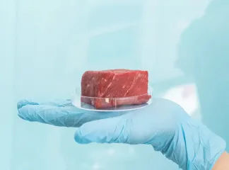 Кухня превратится в лабораторию: вырастить искусственное мясо дома сможет каждый