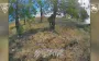 60th SMB eliminates enemy in Donetsk region - minus ten occupiers. VIDEO