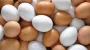 Ukraine has become UK's leading chicken egg supplier in 2025, local farmers concerned