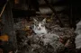 День ангела 7 октября: кого и как поздравлять с именинами