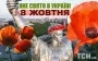 Яке завтра, 8 жовтня, свято — все про цей день, яке церковне свято, що не можна робити