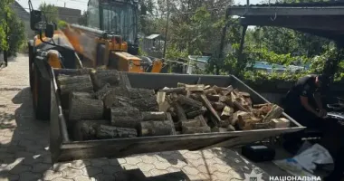 Двоє жителів Одещини нарубали дров на 600 000 грн