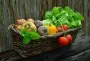 В Україні зростуть ціни на овочі: які продукти подорожчають першими
