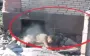 Tank, guns and dugouts destroyed: Buzkyi Hard Brigade’s performance. VIDEO