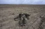Кривава статистика армії Путіна: в ISW оприлюднили шокувальні цифри про втрати РФ