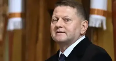 У Залужного відреагували на новину про підготовку до виборів