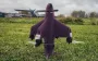 Enemy is testing drone interceptor that resembles Ukrainian Sting drone. PHOTO