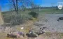 One caught fire, another lost leg: drone operators from 425th Skelia Regiment strike occupiers. VIDEO