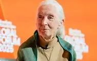 Отправить на другую планету. Опубликовано последнее обращение Джейн Гудолл
