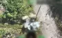 Accurate and ruthless: border guards destroyed field warehouse and Russian army equipment. VIDEO