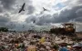 Мусорный коллапс: Россия тонет в отходах и планирует их вывозить в Украину