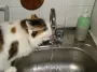 Ворожий удар по Києву: коли відновлять електро-, водо- та газопостачання у місті