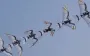 Era of Ukraine’s "menagerie of drones" coming to end – UAV manufacturers