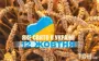 Какой завтра, 12 октября, праздник — все об этом дне, какой церковный праздник, что нельзя делать