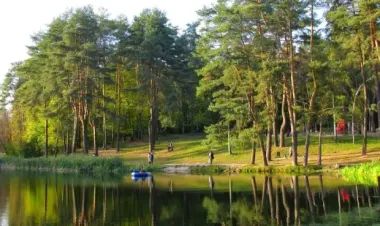 Виконувач обов'язків директора парку "Голосіївський" Михайло Глушаниця вимагає у військового ЗСУ частку у бізнесі