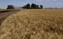 Оккупанты дотируют коллаборационистов: ЦНС разоблачил схему на Херсонщине