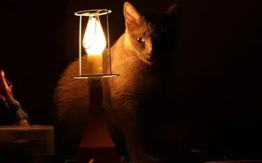 Enemy targeted energy infrastructure of Donetsk region: region is without electricity