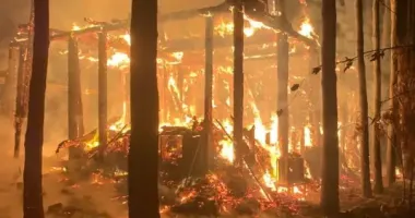 На Харківщині внаслідок обстрілів БпЛА – 5 постраждалих, серед яких 12-річна дівчинка