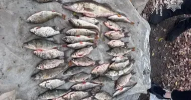 В Днепропетровской области задержали рыбаков за незаконный вылов рыбы на почти 80 тыс. грн