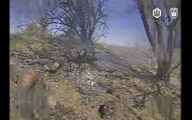Caressed in Ukrainian way: minus two invaders - combat work by "Madyar’s Birds". VIDEO 18+