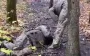 Marines from 810th Brigade of Russian Army conduct "educational" work with accomplice: "Where did you screw up, bitch? I’m going to piss on you right now, you fag#ot in tights". VIDEO