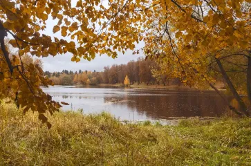 Погода на 14 октября: где в Украине будет холоднее всего (карта)