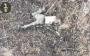 Skelia drone operators carried out combat operations: occupiers were left without arms, legs and heads. VIDEO 18+