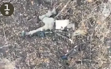 Skelia drone operators carried out combat operations: occupiers were left without arms, legs and heads. VIDEO 18+