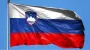 Словенія стала учасницею програми НАТО із закупівлі зброї для України