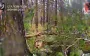 Serebrianskyi Forest: Ukrainian soldiers show pit filled with corpses of occupiers. VIDEO