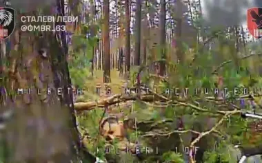 Serebrianskyi Forest: Ukrainian soldiers show pit filled with corpses of occupiers. VIDEO
