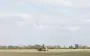 Атеш виявив проблеми ППО росіян на Запорізькому напрямі