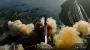 Компания Илона Маска завершила испытание ракеты Starship для полетов на Луну и Марс (видео)