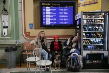 Польша ужесточает правила выплат "800+": о чем важно знать украинцам