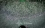 Rubizh Brigade drone gave occupier on crutches "light". VIDEO