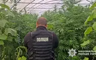 На Дніпропетровщині викрили наркоаграріїв