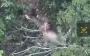 Gground drone with machine gun eliminated occupier-assault soldier in Donetsk Oblast. VIDEO