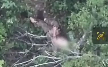 Gground drone with machine gun eliminated occupier-assault soldier in Donetsk Oblast. VIDEO