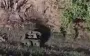 Ground robotic system evacuates severely wounded soldier under fire just 20 meters from ruscists’ positions. VIDEO