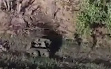 Ground robotic system evacuates severely wounded soldier under fire just 20 meters from ruscists’ positions. VIDEO