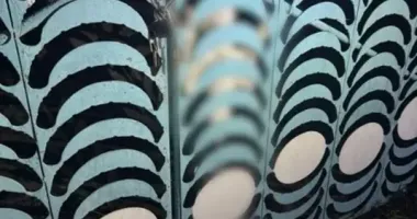 В Киевской области 59-летний мужчина повесил свою собаку: дело направлено в суд