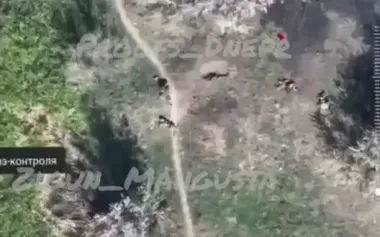 Scattered bodies of dead invaders: Ukrainian fighters eliminated 30 occupiers in Dobropillia direction. VIDEO