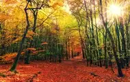 Гороскоп для всех знаков зодиака на 17 октября 2025 года