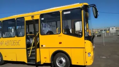Школьные автобусы по евростандарту: в Украине обновили правила перевозки школьников