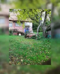 Владелец бесследно исчез: мужчина обнаружил в лесу жуткий заброшенный дом (фото)